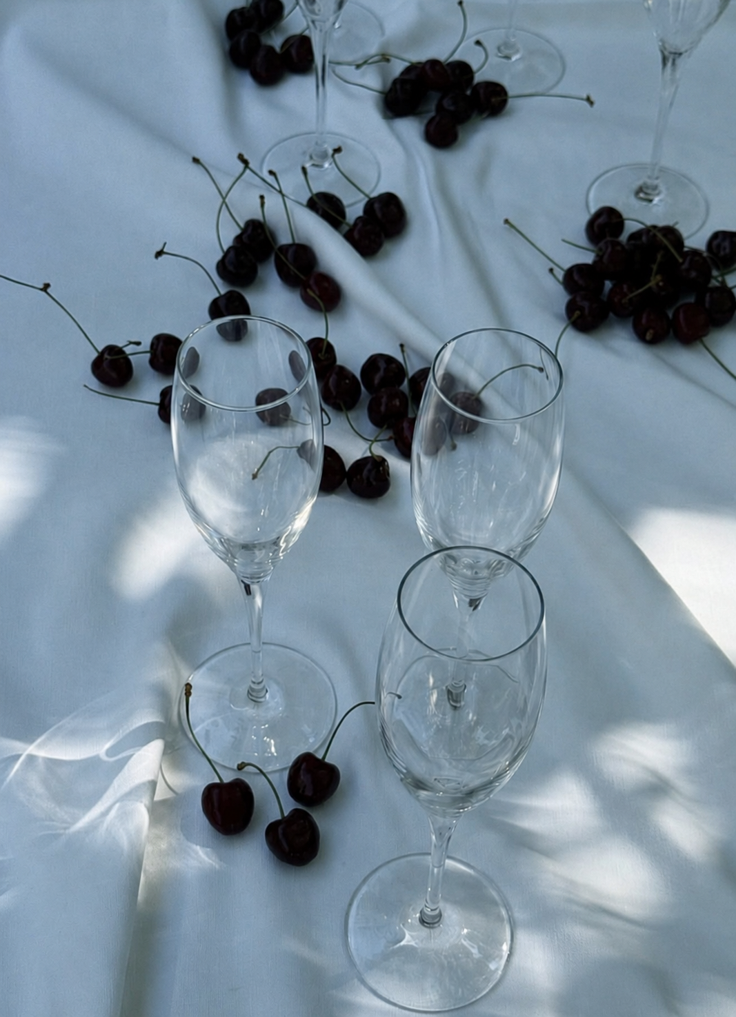 Champagne glasses